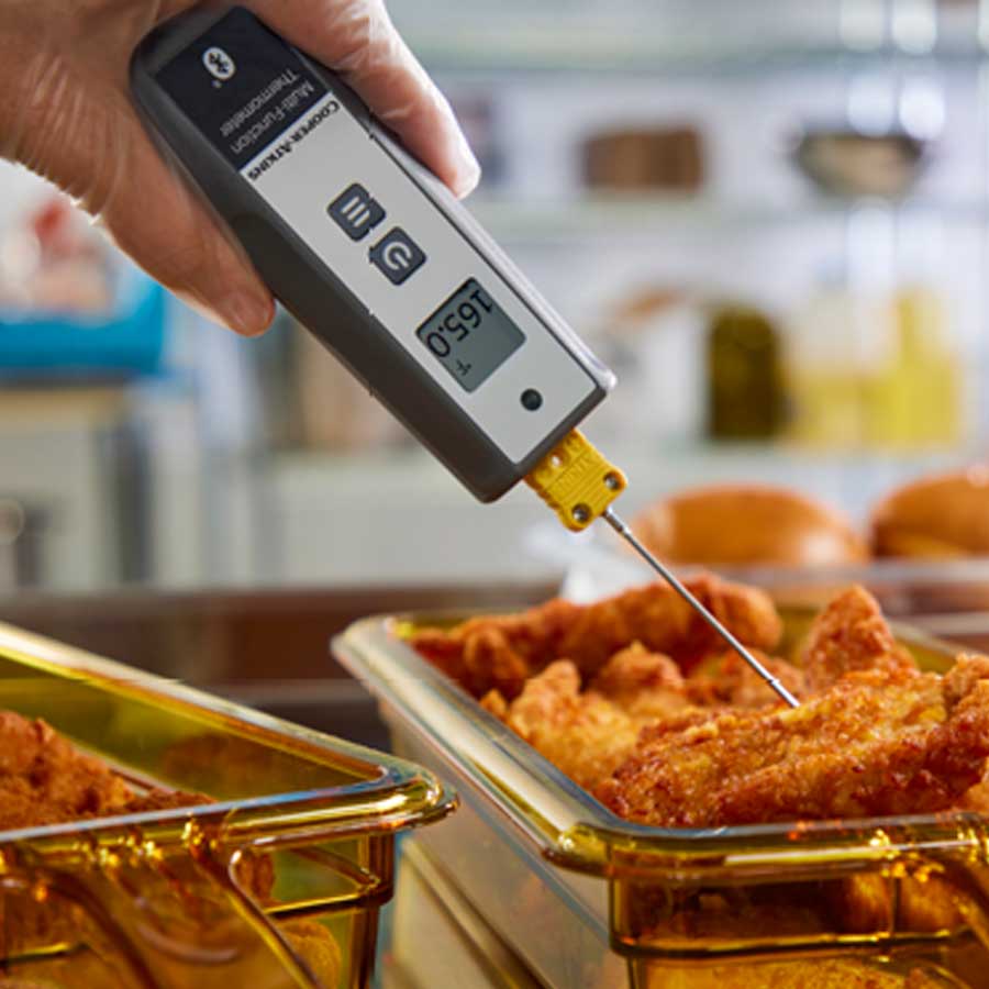 Multi-Function Thermometer