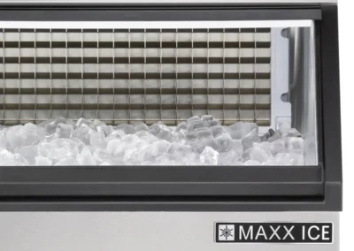 Maxx Ice